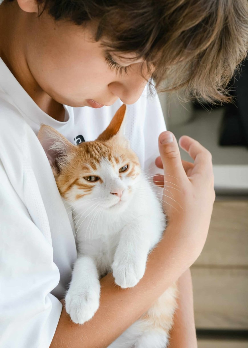 Kedilerde Gastroenterit Belirtiler Tedavi ve Önleme Yolları — Viral enfeksiyonlar: Feline immün yetmezlik virüsü (FIV), feline lösemi virüsü (FeLV) ve feline panleukopenia virüsü gibi viral… (2)