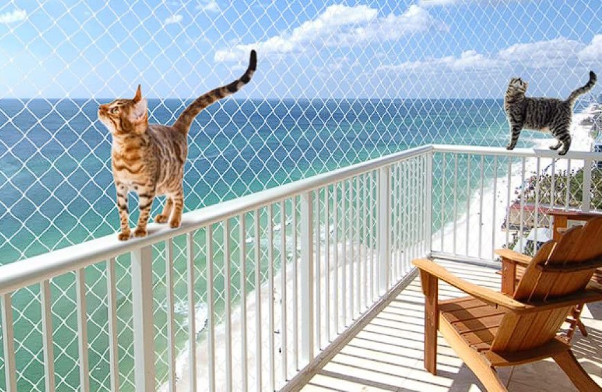 KEDİLER BALKONDAN ATLAR MI? — Kedi sahipleri internetten kediler balkondan atlar mı sorusunu sıklıkla aratırlar.