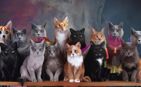 Tüyler Ürperten Dişi Kedi İsim Önerileri ve Açıklamaları