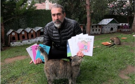 Trabzon Kedi Köyü Genişliyor